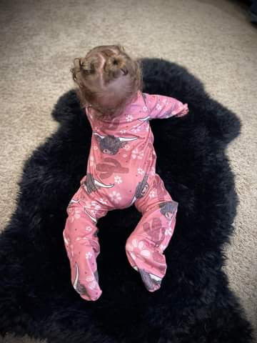 Kids Groovy Highlander Sleeper